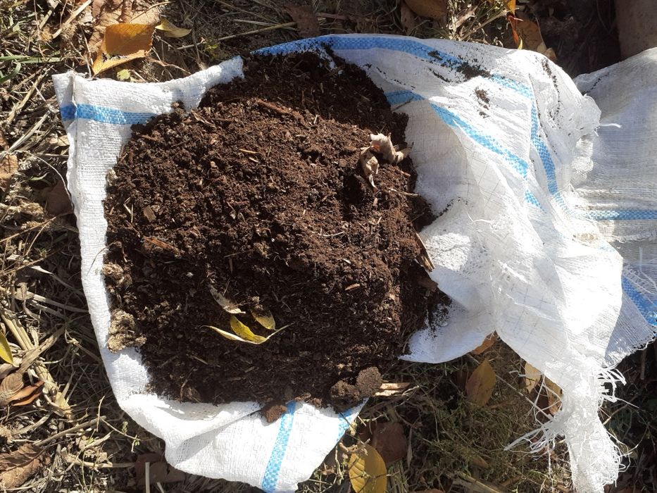 Mraniță de vaca la sac