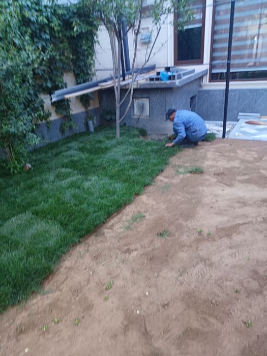 Yevro gazon sifatli va arzon