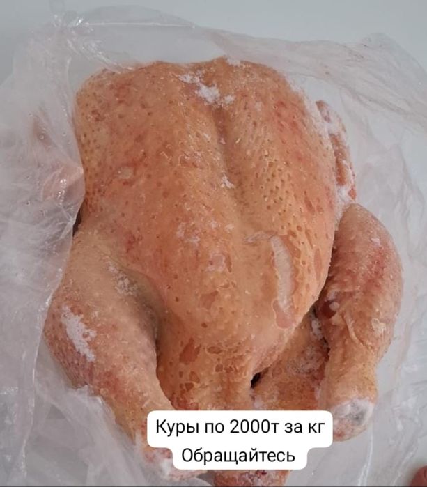 Куры бройлерные Мясом-Живьем