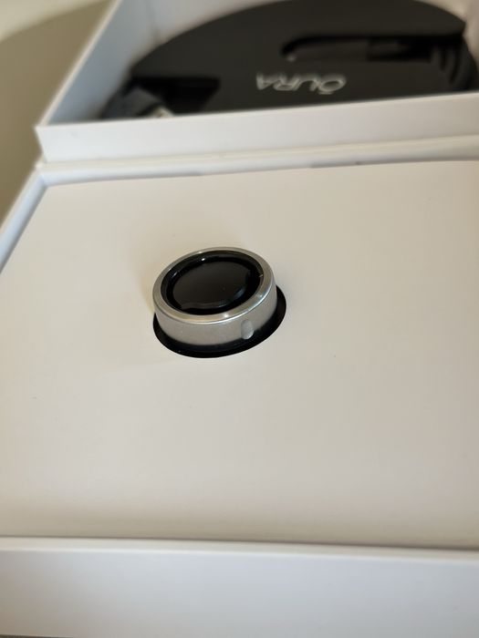 Oura Ring Generation 3 Horizon Brushed Titanium US6