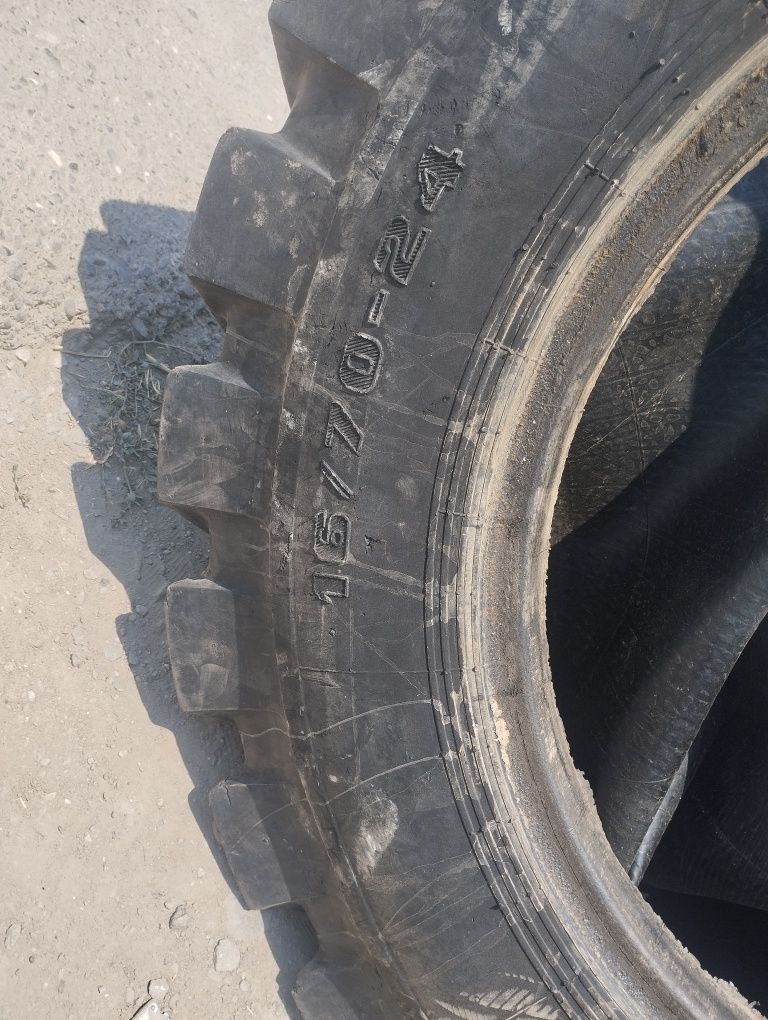 Balon zur holda turta bor