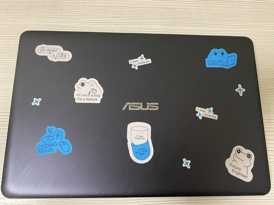 Asus Vivobook ideal