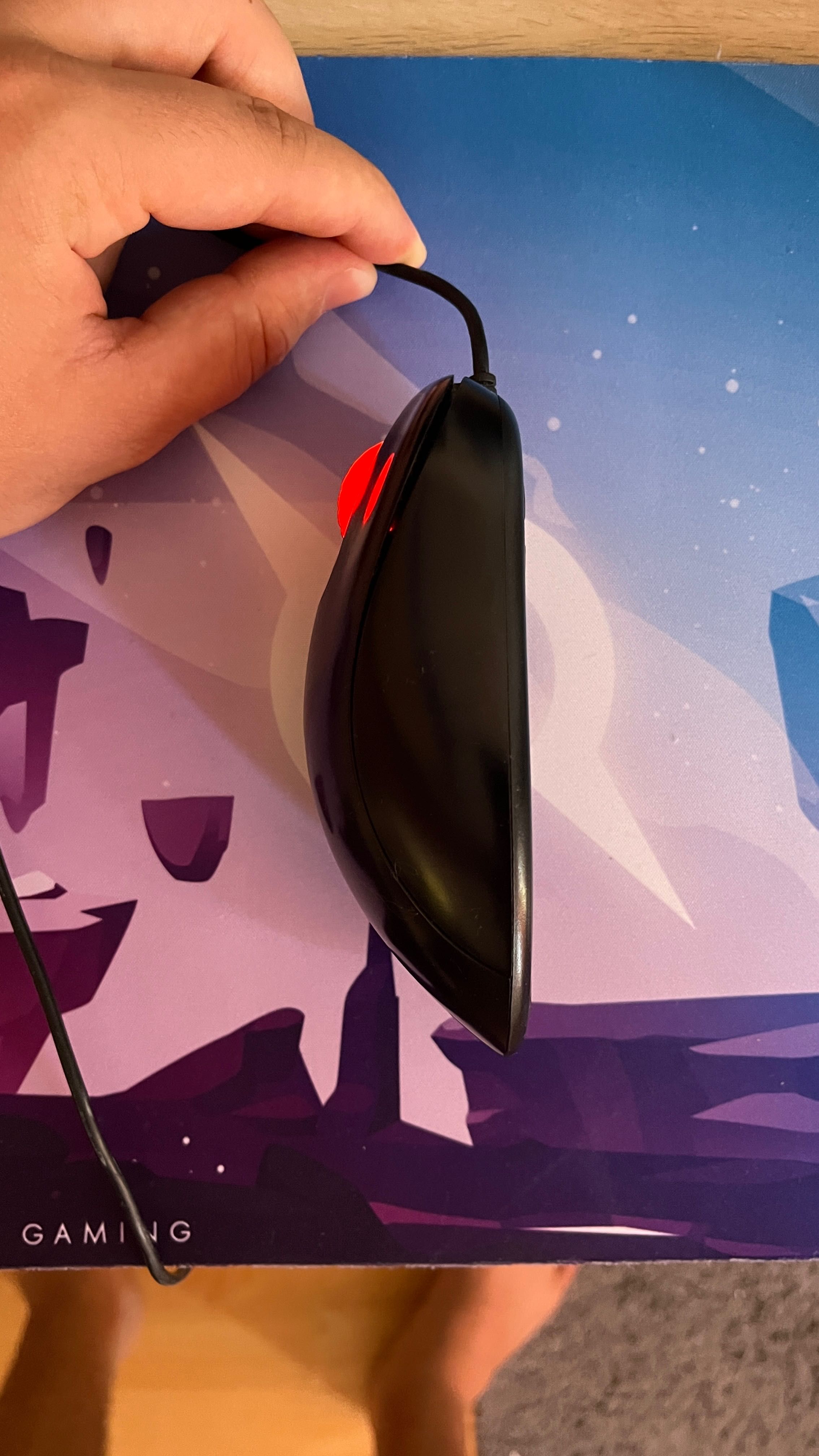Mouse Zowie EC1-A