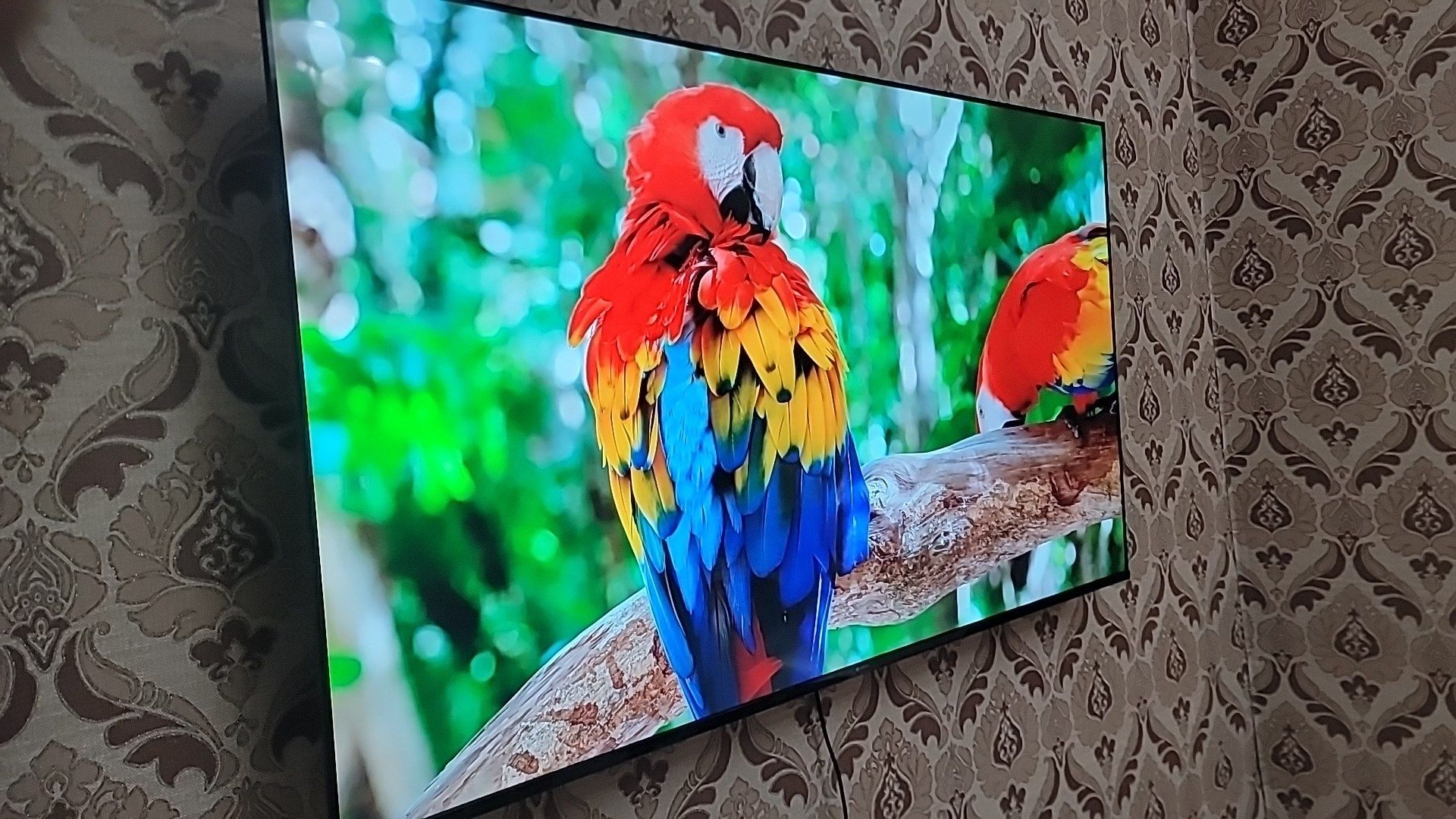 Телевизор smart 43 50 55