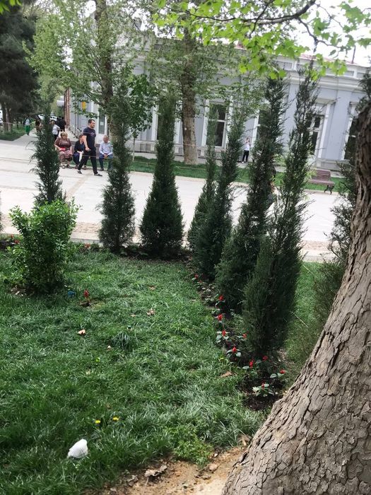 Тажрибали мутахасис Богбон хизмати