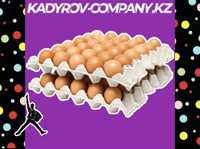 Инкубационные яйца ломан браун несушка оплод 80% Россия ИЯЛБ3