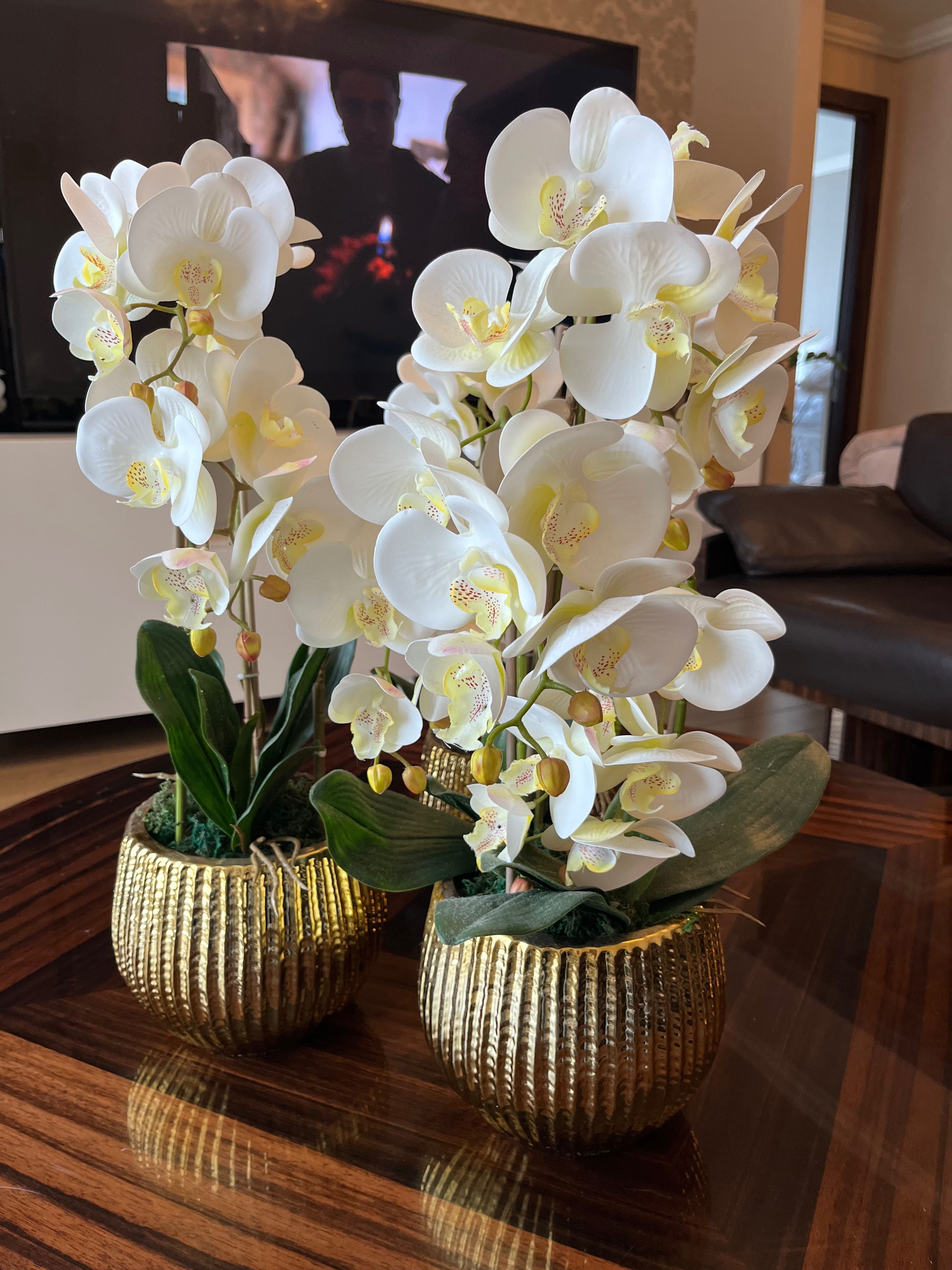 Орхидеи декоративные по 12000тг