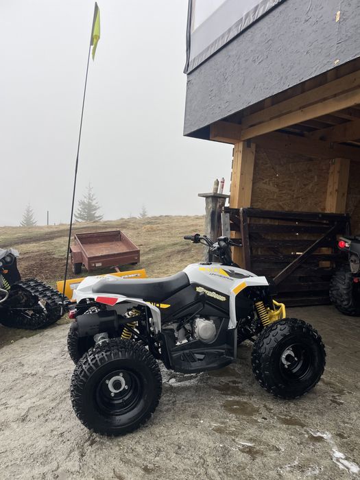 Atv Can Am Renegade 110 Atv Copii