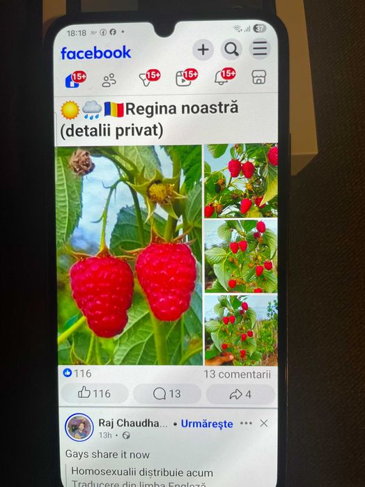 Telefon Samsung A 34  6/126 GB