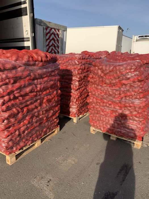 Vand cartofi consum alb rosu