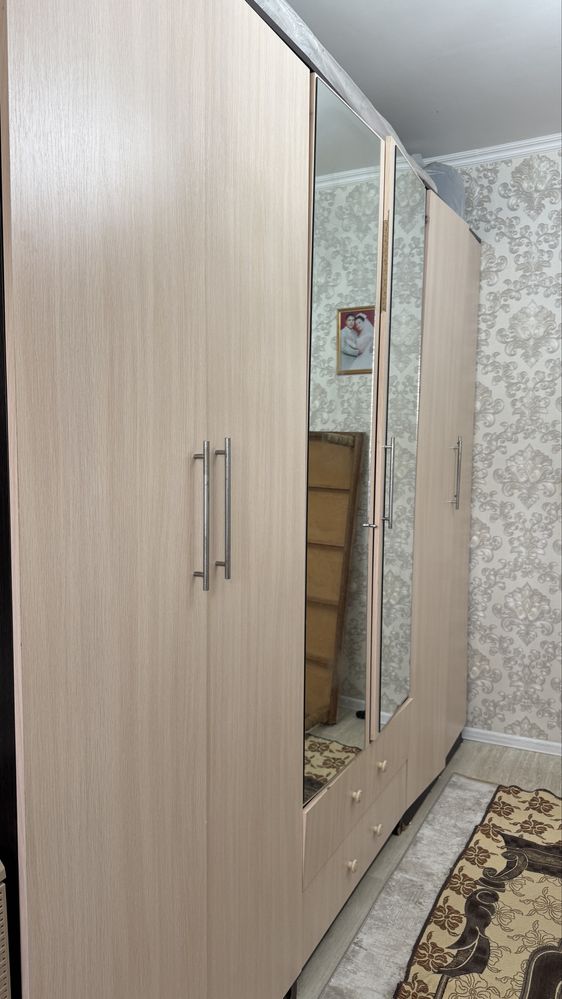 Шифанер өз бағасына тиімді