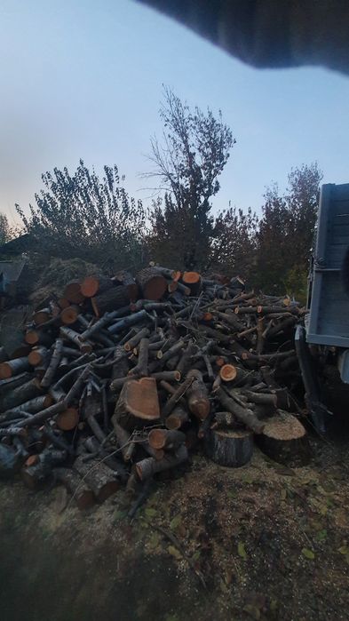 Отин сотилади яхщи отин