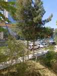 Академгородок (IT-Park), Олимлар,  Срочно Продается своя 2-х комнатная