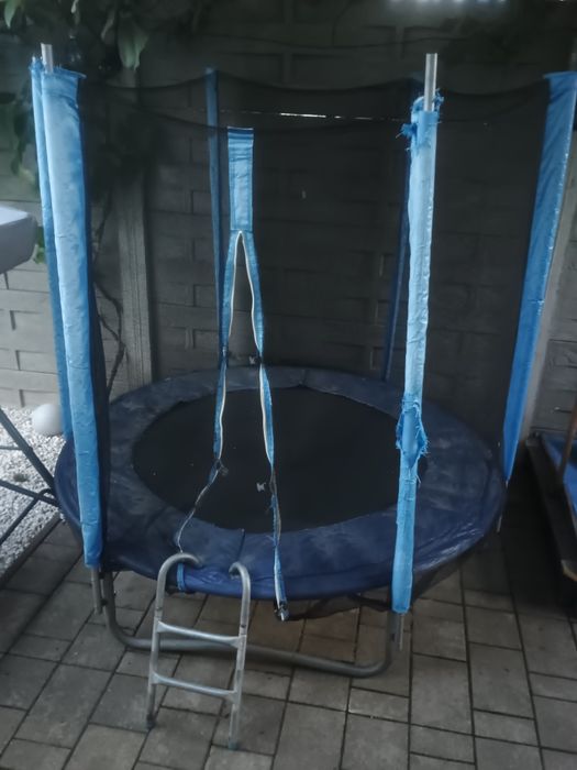 Trambulina Mappy 183 cm cu plasa de protecție și scara