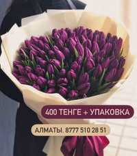 Тюльпаны Алматы