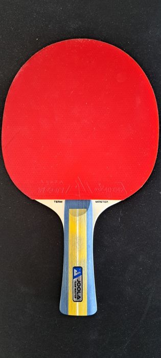 Vand paleta Joola Team Master