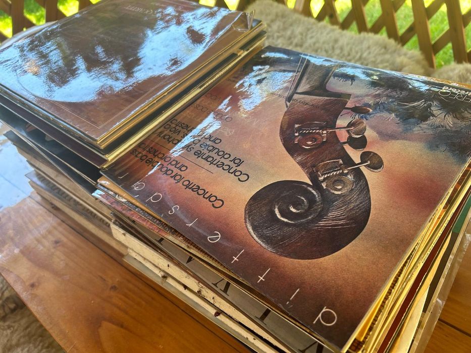 Vând discuri de vinil