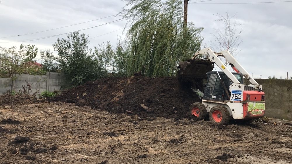 Mranita maturata ptr solarii sere familiale rasaduri