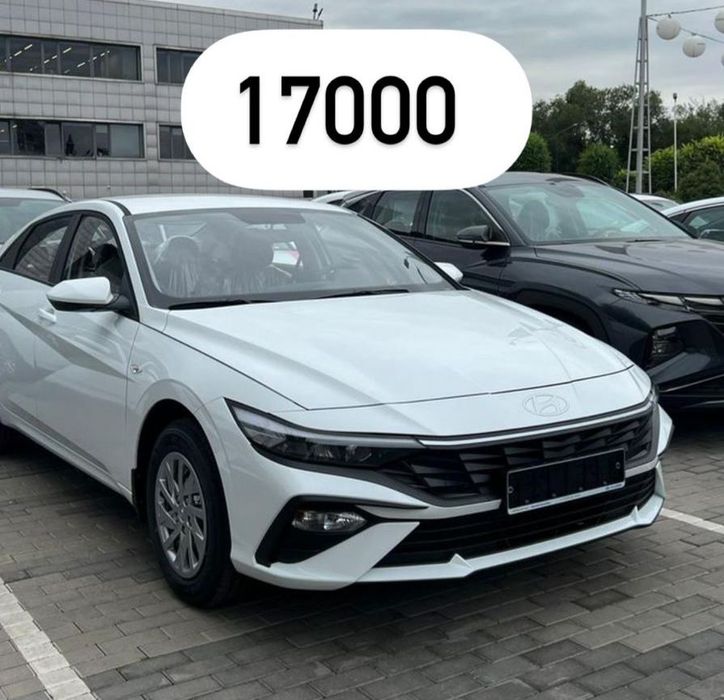 Аренда авто, выкуп, такси, яндекс, элантра, хончи бизнес класс