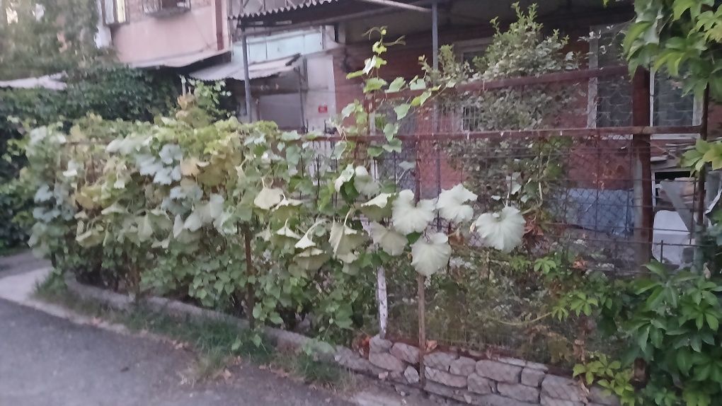 Продам свою   квартиру на 1 этаже с огородом и подвалом