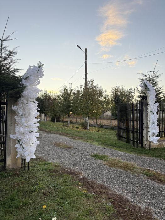 Arcade florale de inchiriat