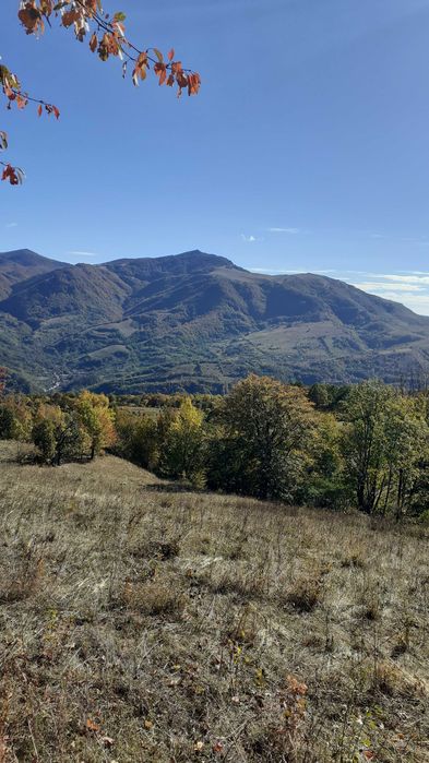 Caut familie sau femeie pt intretinere batran