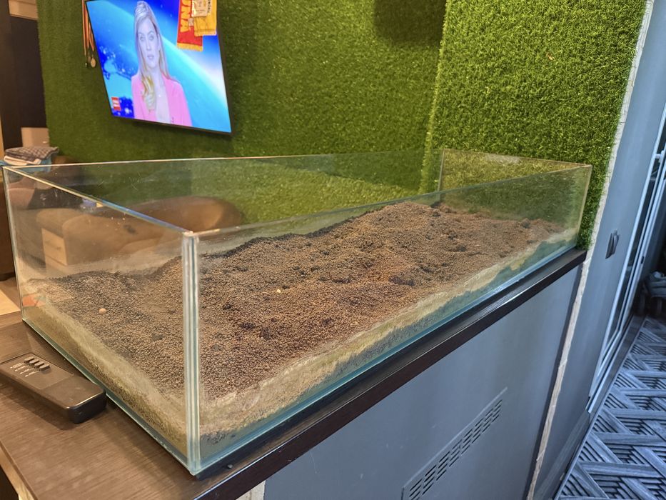 Acvariu pentru pesti