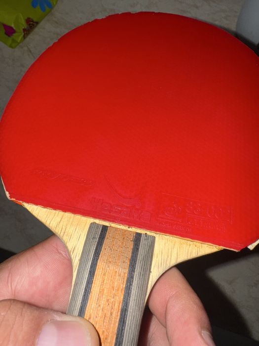 Paleta ping-pong