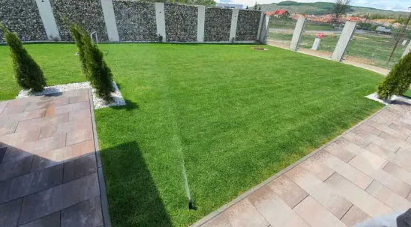 Montaj Gazon Rulou și Însămânțare cu Echipă Specializată