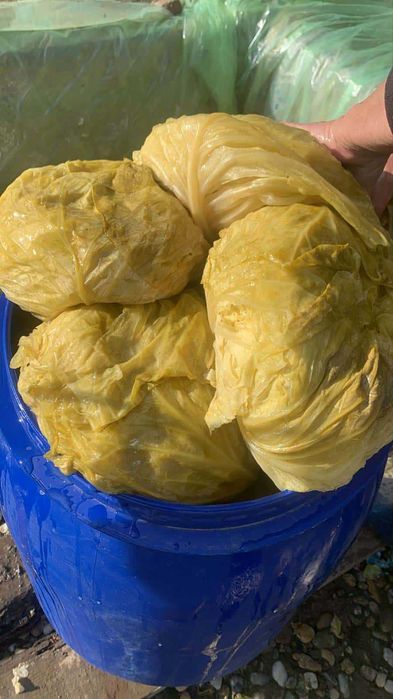 Varză ,cea mai bună varză de la țară