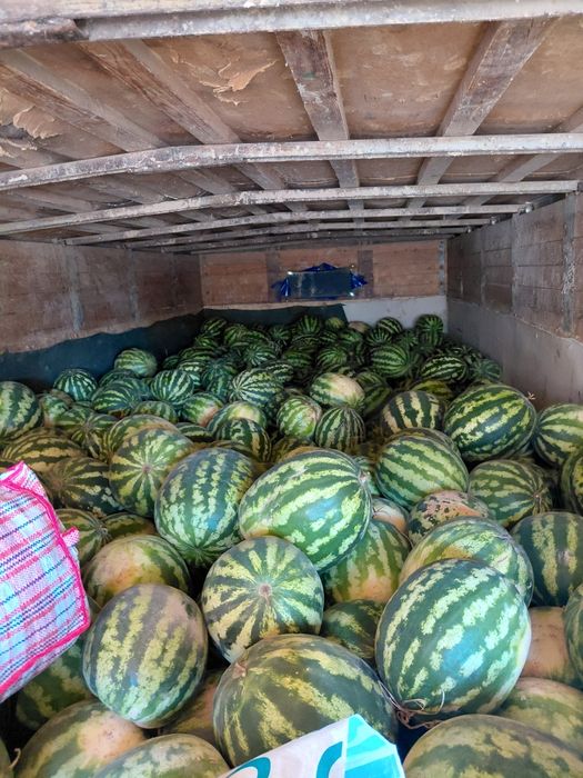 Арбузы есть звоните