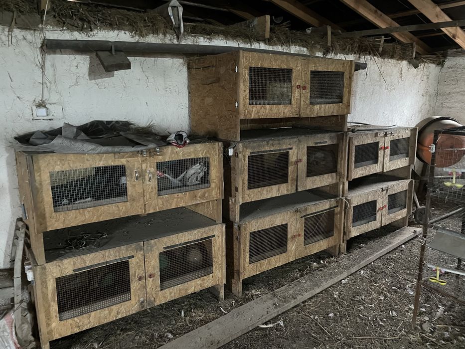 Брудер и Клетки из железа