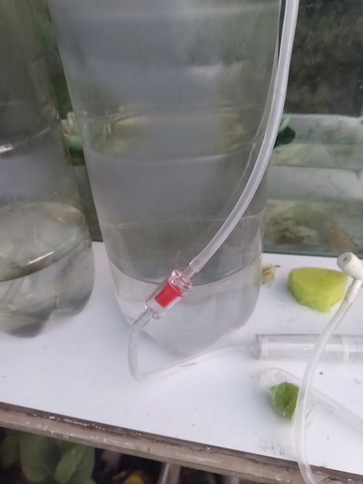 Sistem diy CO2 acvariu oferta!