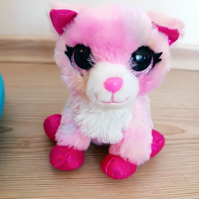 Котенце с клетка