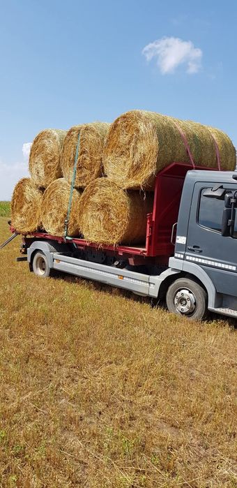 Vând baloti rotunzi de ovăz