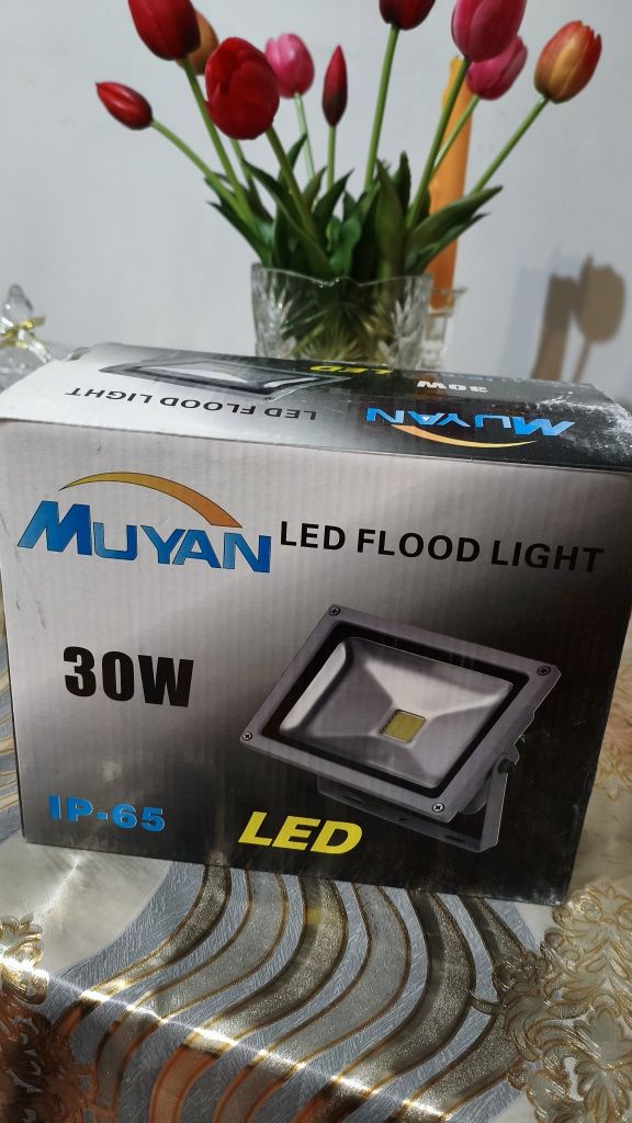 LED 30W прожектор для дома и улицы