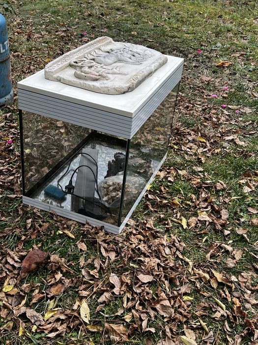 Acvariu pesti/broaste testoase