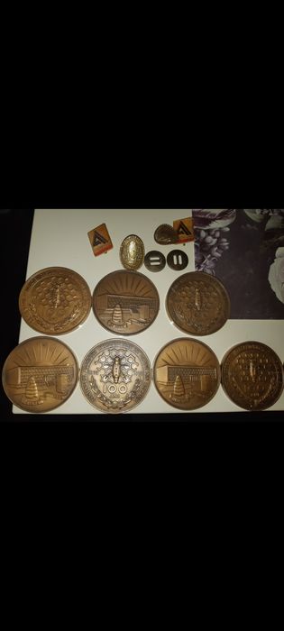 Medalii din bronz pentru apicultura