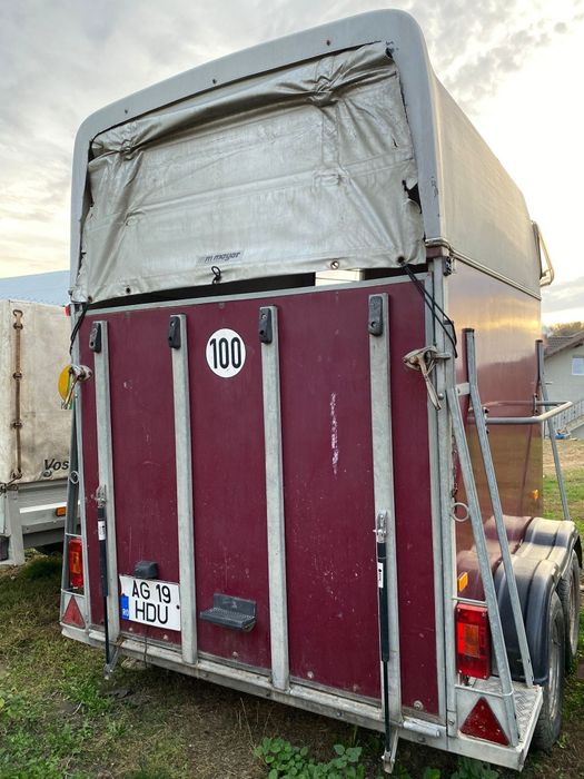 Vând iapă și cârlană semigrele