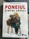 Carti lectura copii