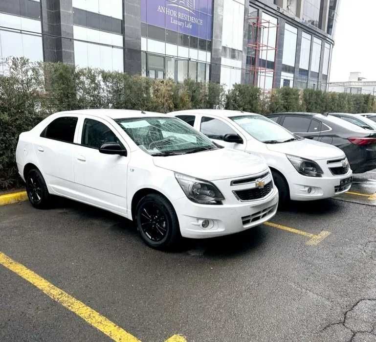 Собалт Mиднайт 2025