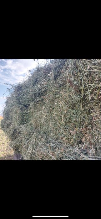 Vand baloti de lucerna