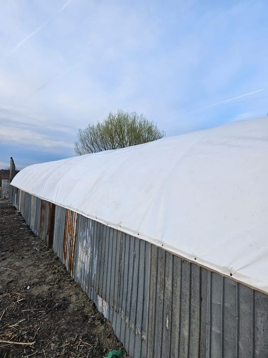 Prelate cauciucate 650 g densitate