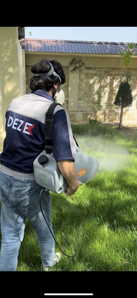Dezinfeksiya дезинфекция 24/7 dizinfeksiya клапа таракан klapa tarakan