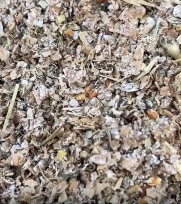 Комбикорм мешанка