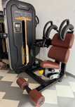 Set 2 aparate : abdominal crunch + Rotary torso