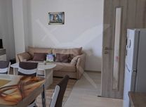 Двустаен апартамент в Обзор 55361