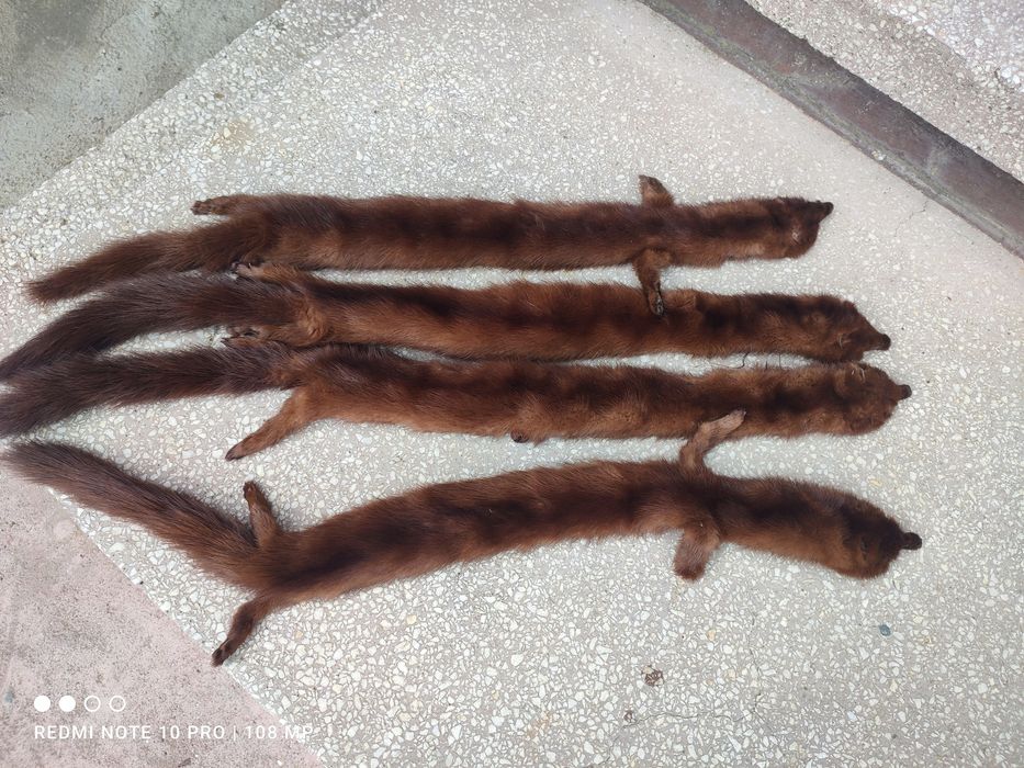 Яка от Норка 4 бр