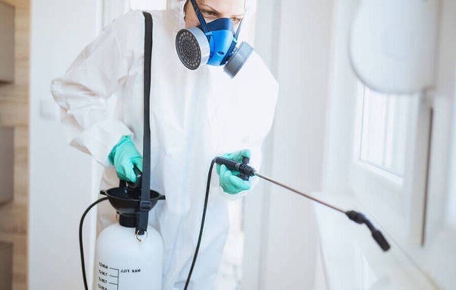 Дезинфекция Дезинсекция Деротизация Dezinfeksiya