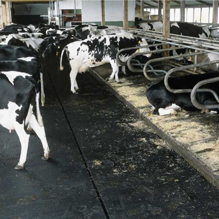 Vând banda de cauciuc